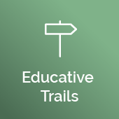 Educative Trails