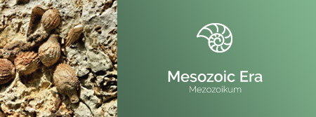 Mezozoic Era
