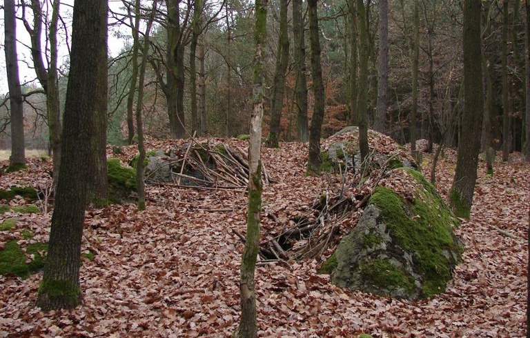 Lokalita č. 7 Litošice