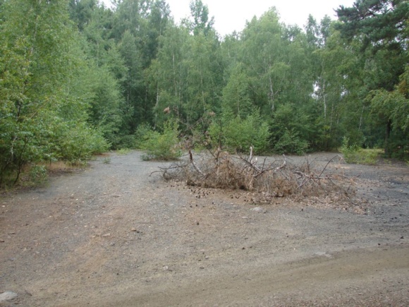 Lokalita č. 67 Semtěš – vápenka