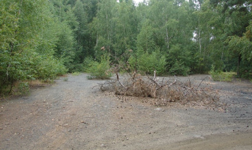 Lokalita č. 67 Semtěš – vápenka