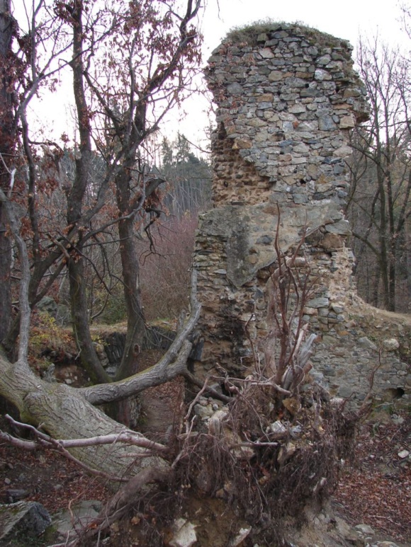 Lokalita č. 14 Rabštejnek