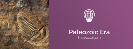 Paleozolic Era